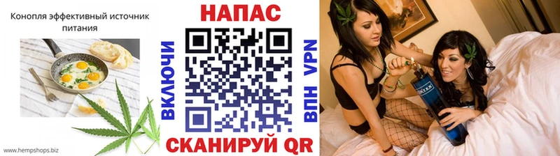 где купить   Корсаков  Canna-Cookies конопля 