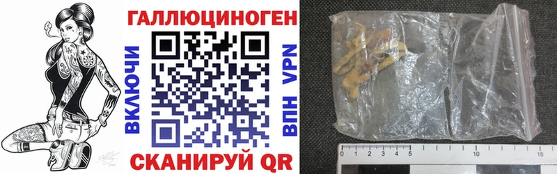 где можно купить   Корсаков  Галлюциногенные грибы MAGIC MUSHROOMS 
